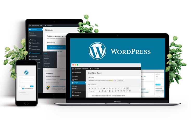 Professionelle WordPress-Websites nach Maß! 🌐✨